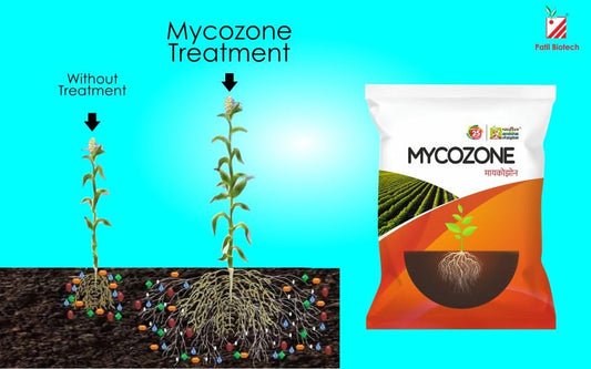 mycozone patil biotech