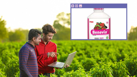 Introducing Benevia® Insecticide: The Ultimate Crop Protection Solution