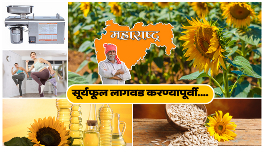 sunflower cultivation in India