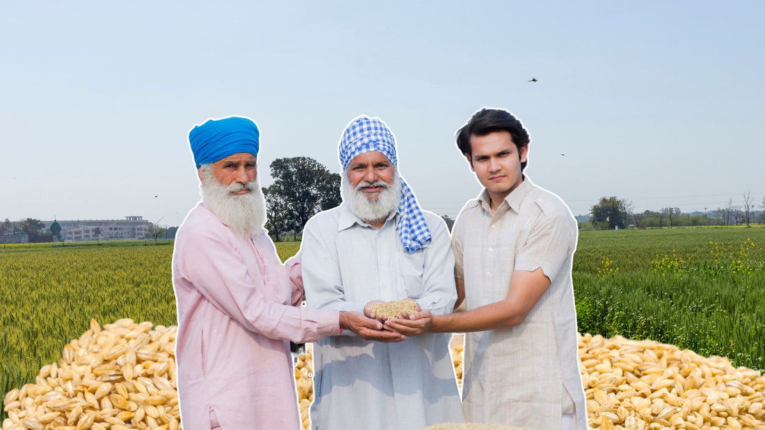 Punjab's Wheat Prowess: Maintaining the Edge and Boosting Farmer Incomes