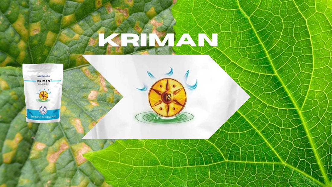 What is tata rallis Kriman fungicide?