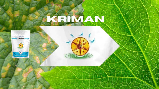 What is tata rallis Kriman fungicide?