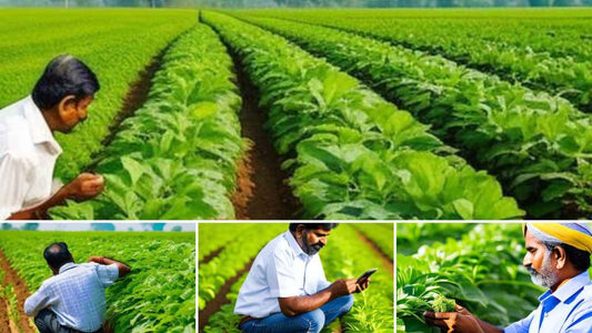 How can farmers diagnose plant diseases?