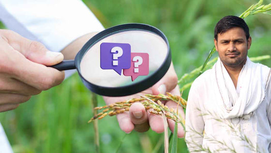 Answer to all your questions on plant diseases!