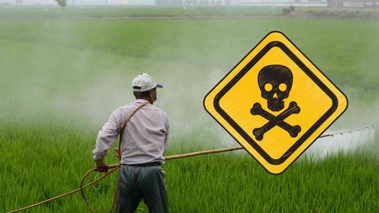Pesticide Residue Problem in India: Causes, Consequences, and Measures to Address it
