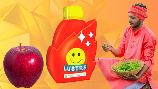 Dhanuka Luster