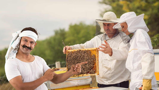 how to start beekeeping