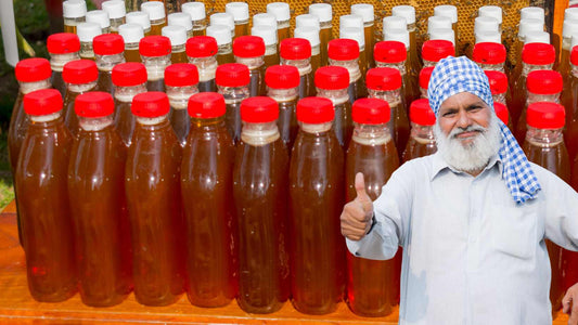 punjab beekeeping