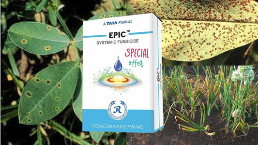 fungicide for common use