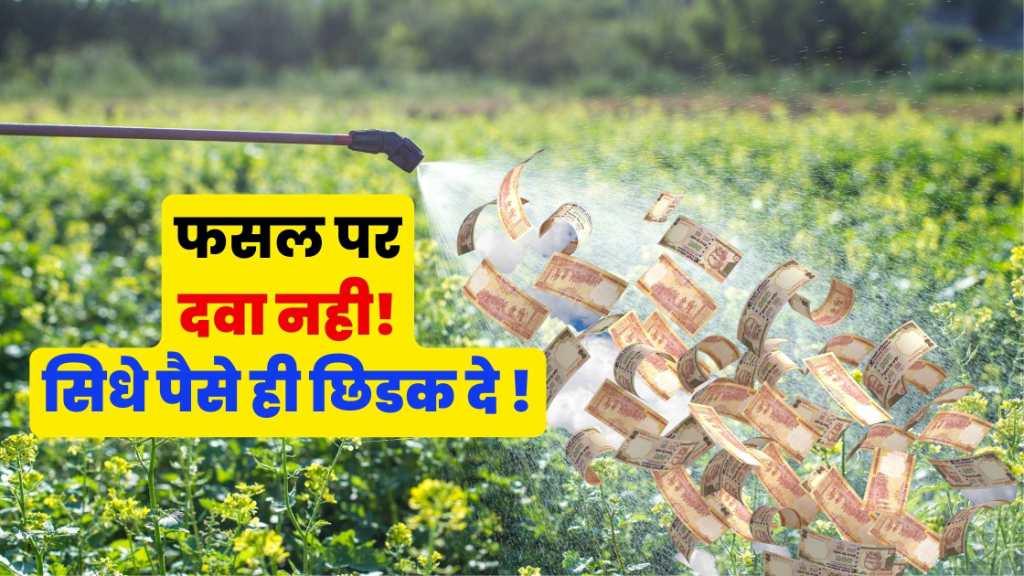 क्या फसलोपर पैसे का छिडकाव करना चाहीए?