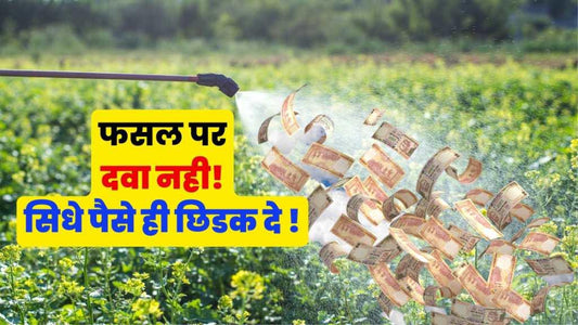 क्या फसलोपर पैसे का छिडकाव करना चाहीए?