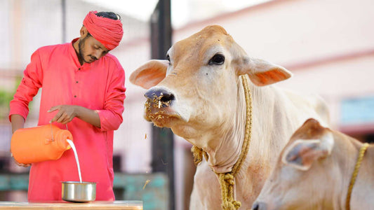 Untapped Potential of Dairy Business in Rural India: A Call to Action for Rural Indian Youth