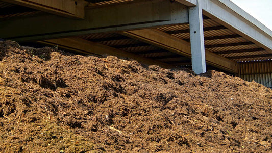 Transforming Cow Dung into "Organic Gold"