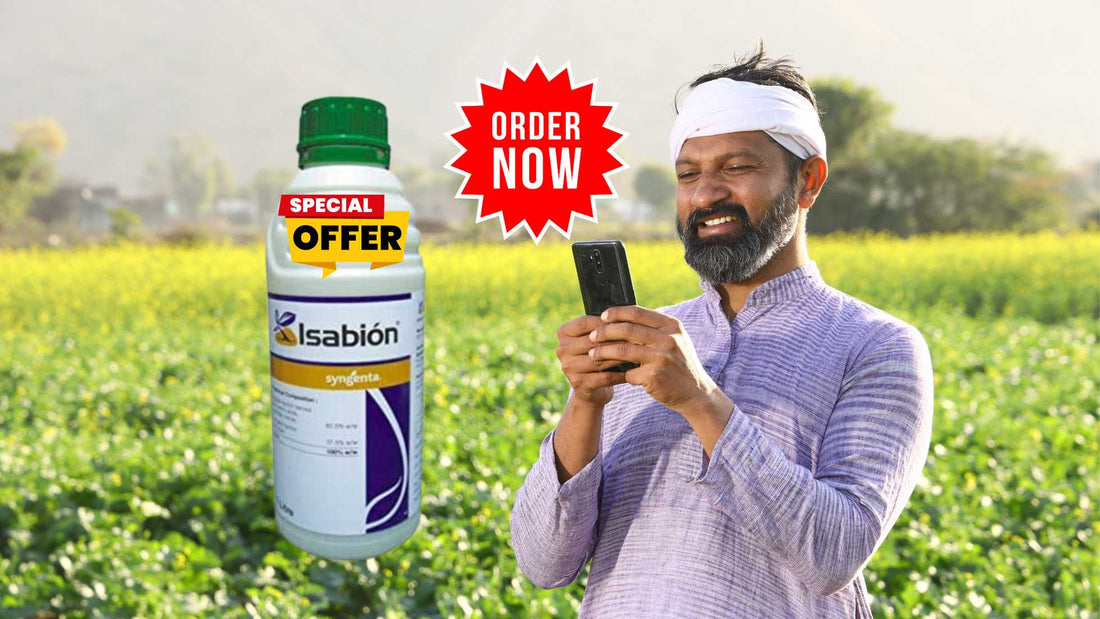 Isabion: Your Crop's Superhero Against Climate Stress