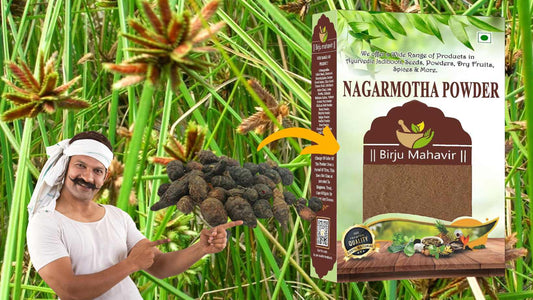 business opportunity with Nagarmotha