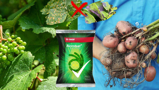 BASF fungicide Acrobat