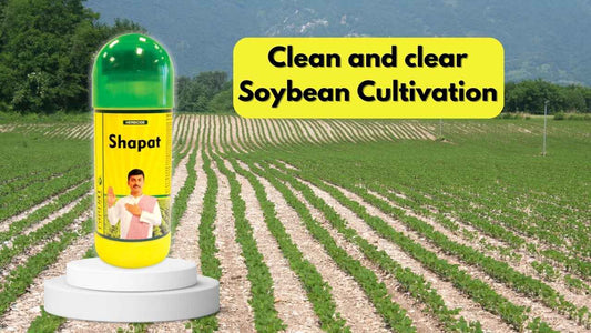 SHAPAT as Soybean Herbicide