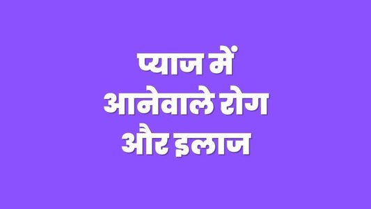 प्याज में लगने वाले फफूंद जनित रोग और उनका उपाय. Onion diseases and selection of fungicides