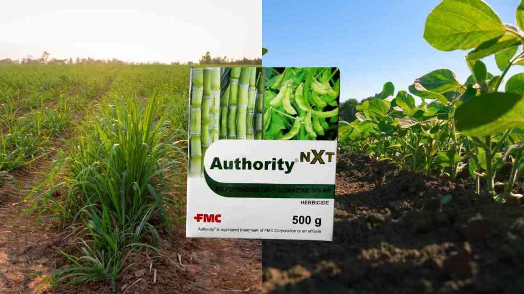 A Powerful Herbicide for Broadleaf and Grassy Weed in Sugarcane and Soybean