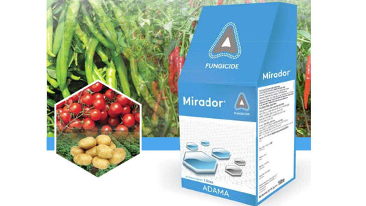 adama mirador