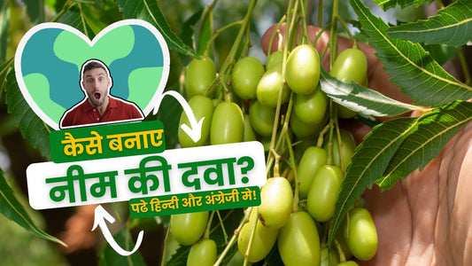 Azadirachtin from Neem Seeds: A Boon for Indian Farmers