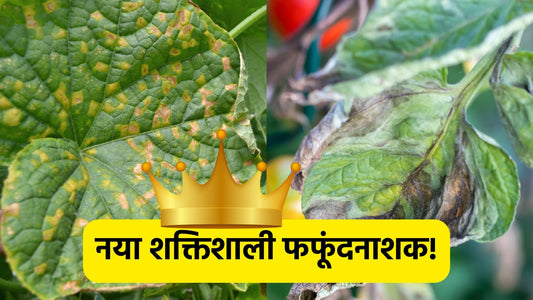 आ रहा है एक शक्तिशाली फफूंदनाशक!