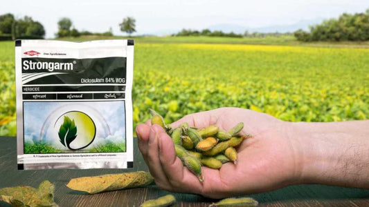 weed management in soybean using strongarm herbicide
