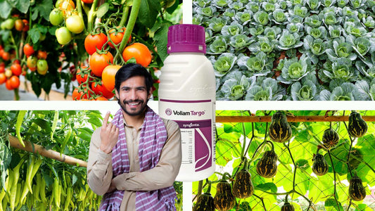 Syngenta Voliam Targo and Integrated Pest Management