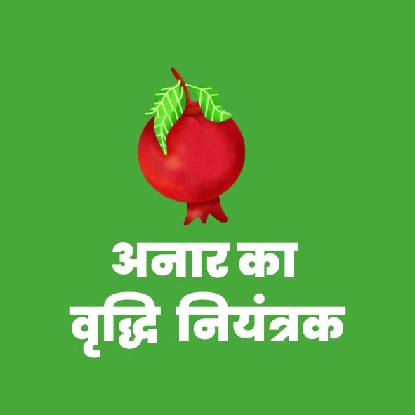 अनारका वृद्धिनियंत्रक