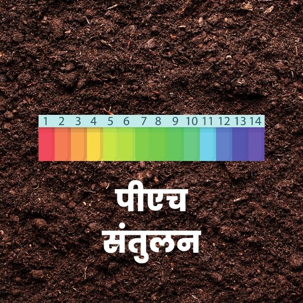 पीएच संतुलन