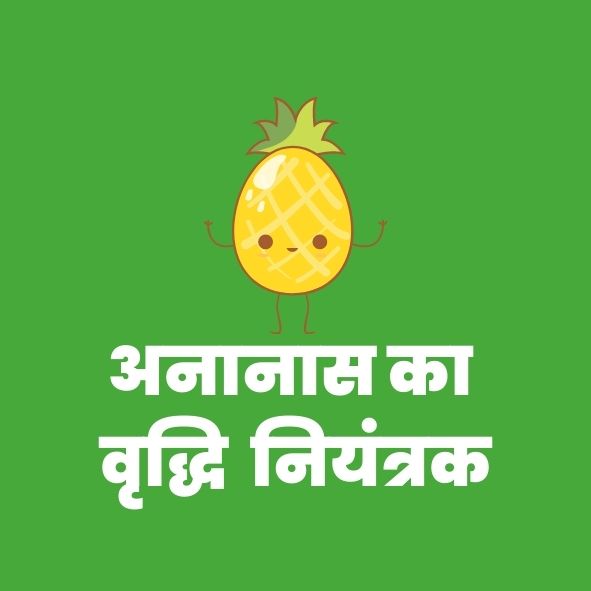 अनानासका वृद्धिनियंत्रक