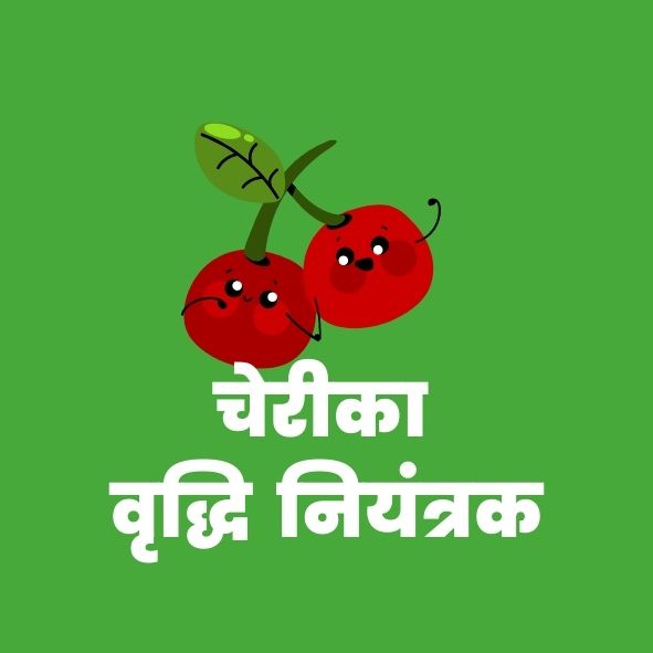 चेरीका वृद्धिनियंत्रक