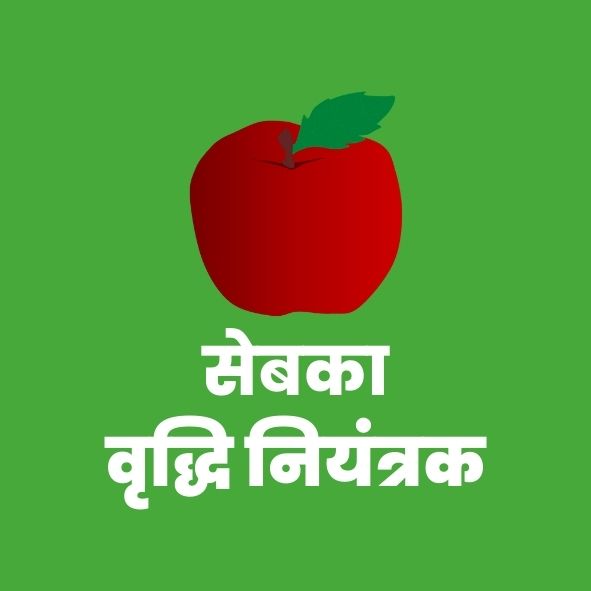 सेबका वृद्धिनियंत्रक