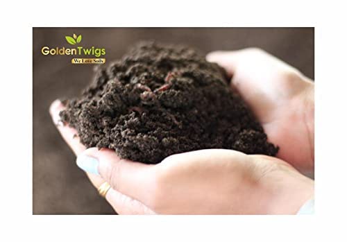 Compost