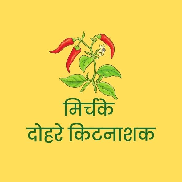 मिर्च के दोहरे कीटनाशक