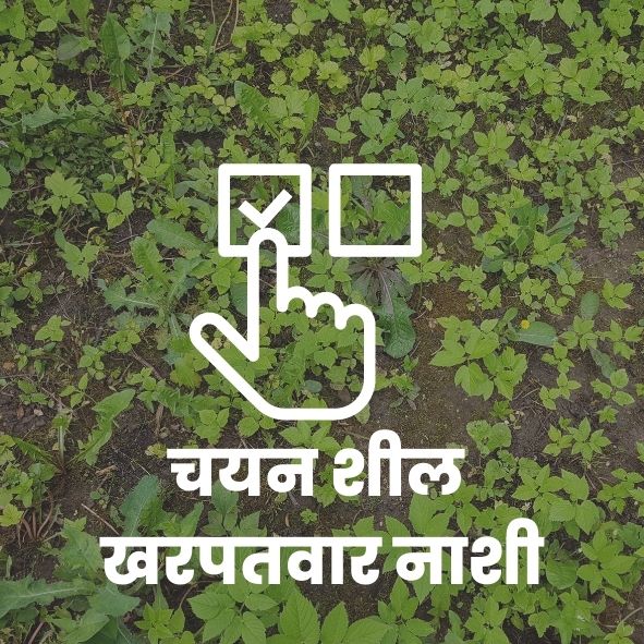 चयनशील खरपतवारनाशी
