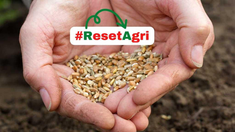 Seed treatment formulas avilable in India