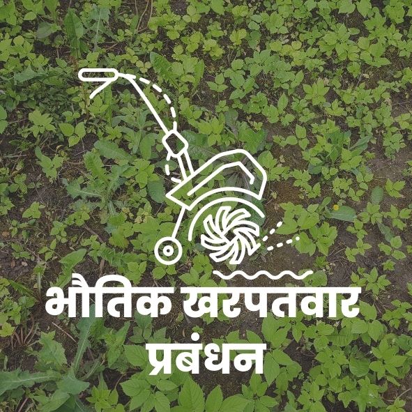 भौतिक खरपतवार प्रबंधन