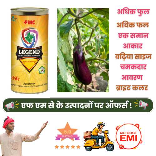 fmc legend for quality brinjal production