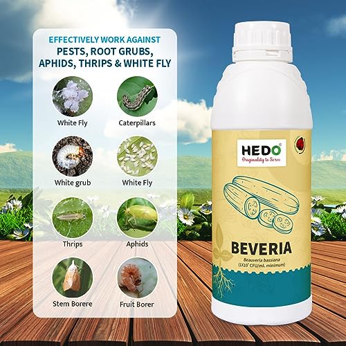 ऍफिड्स, थ्रिप्स आणि व्हाईटफ्लाइज नियंत्रित करण्यासाठी HEDO ब्युवेरिया बसियाना (1x10^8 CFU/g) बायो-ऑर्गेनिक (1L) द्रव