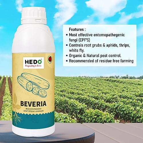 ऍफिड्स, थ्रिप्स आणि व्हाईटफ्लाइज नियंत्रित करण्यासाठी HEDO ब्युवेरिया बसियाना (1x10^8 CFU/g) बायो-ऑर्गेनिक (1L) द्रव
