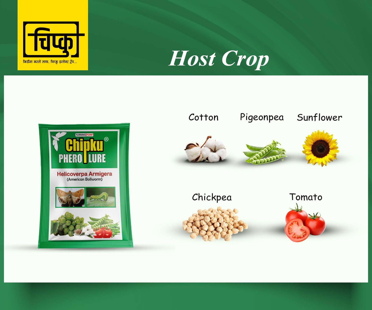 हेलिकोवर्पा आर्मिगेरा के लिए फेरोमोन लालच
