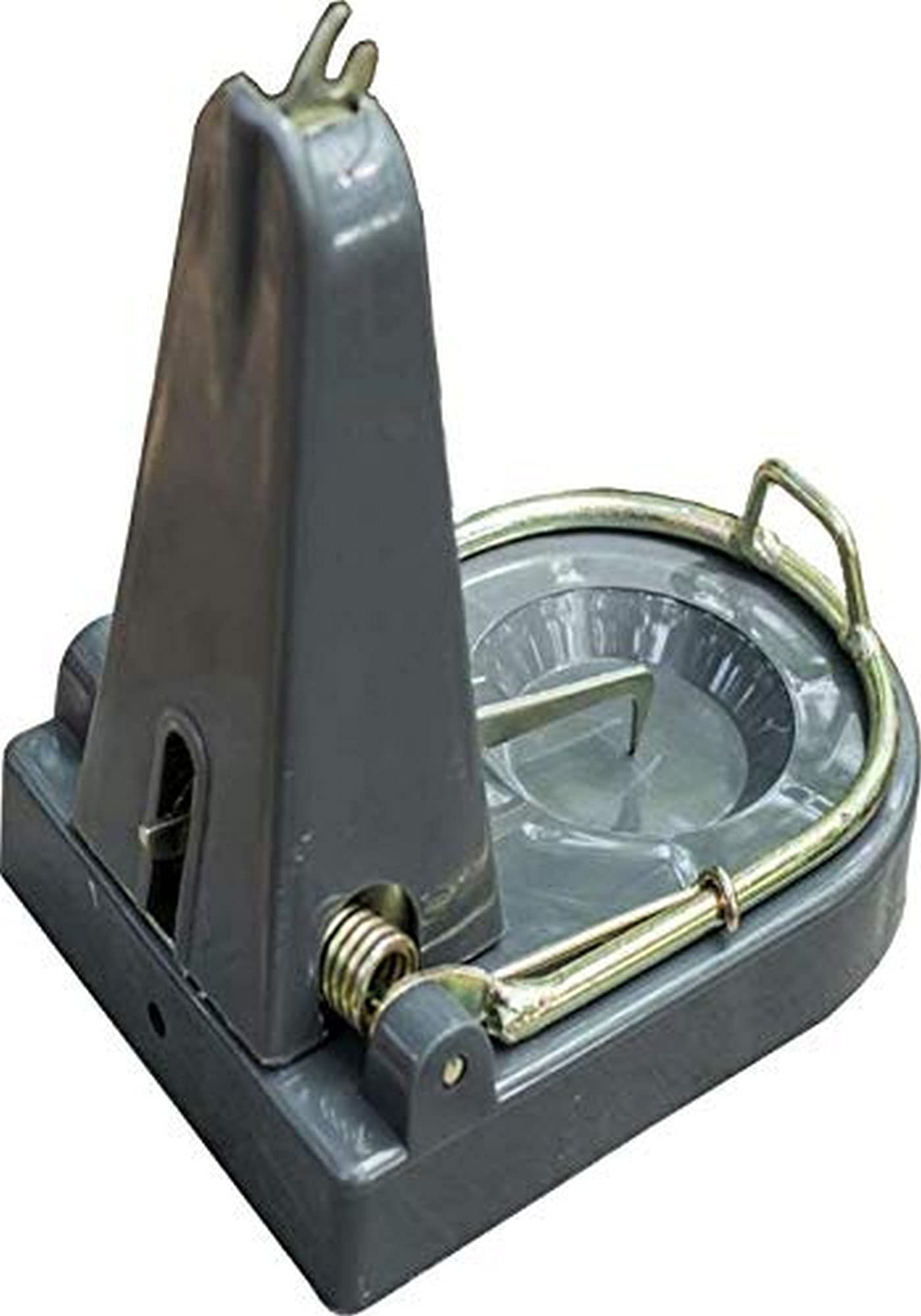 Black Cat Standard Rat Trap