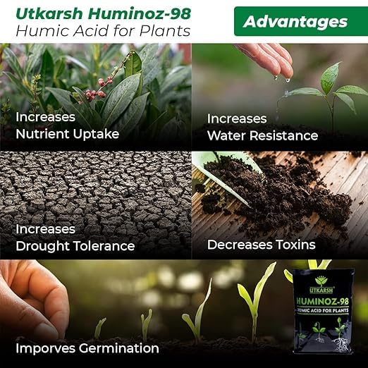 Granular humic acid