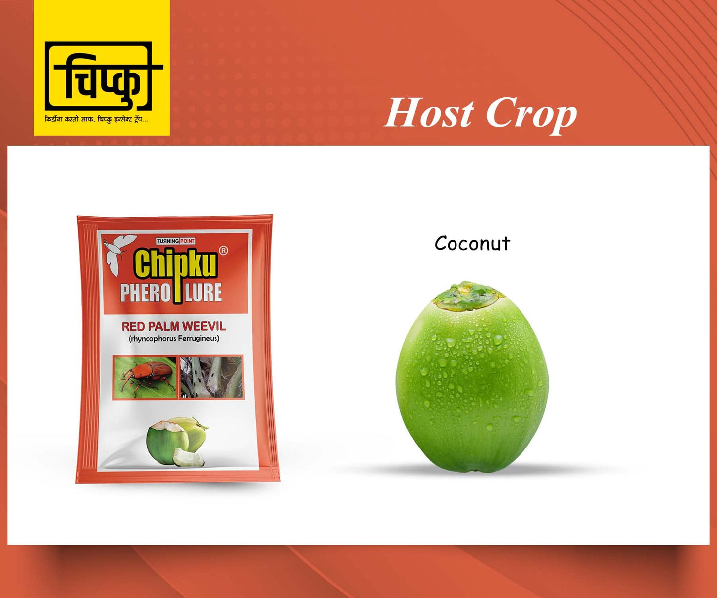 रेड पाम वीविल फेरोमोन ल्यूर
