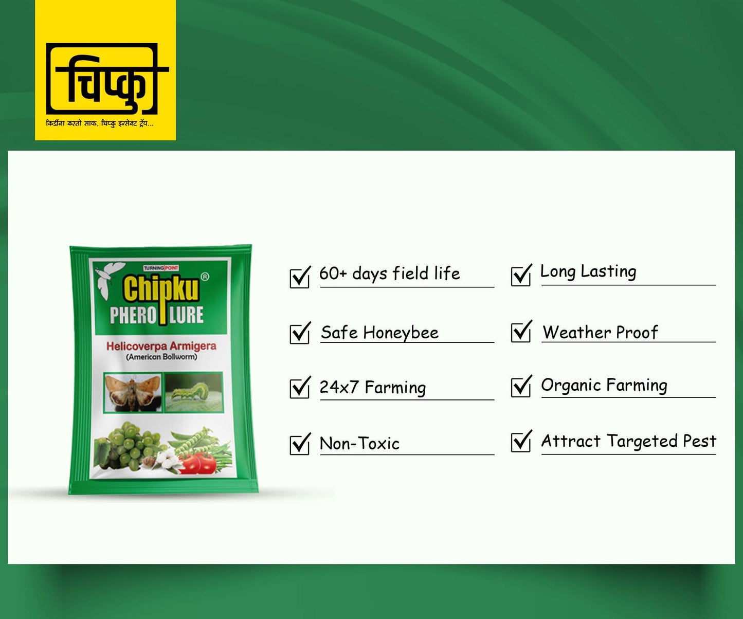 हेलिकोवर्पा आर्मिगेरा के लिए फेरोमोन लालच