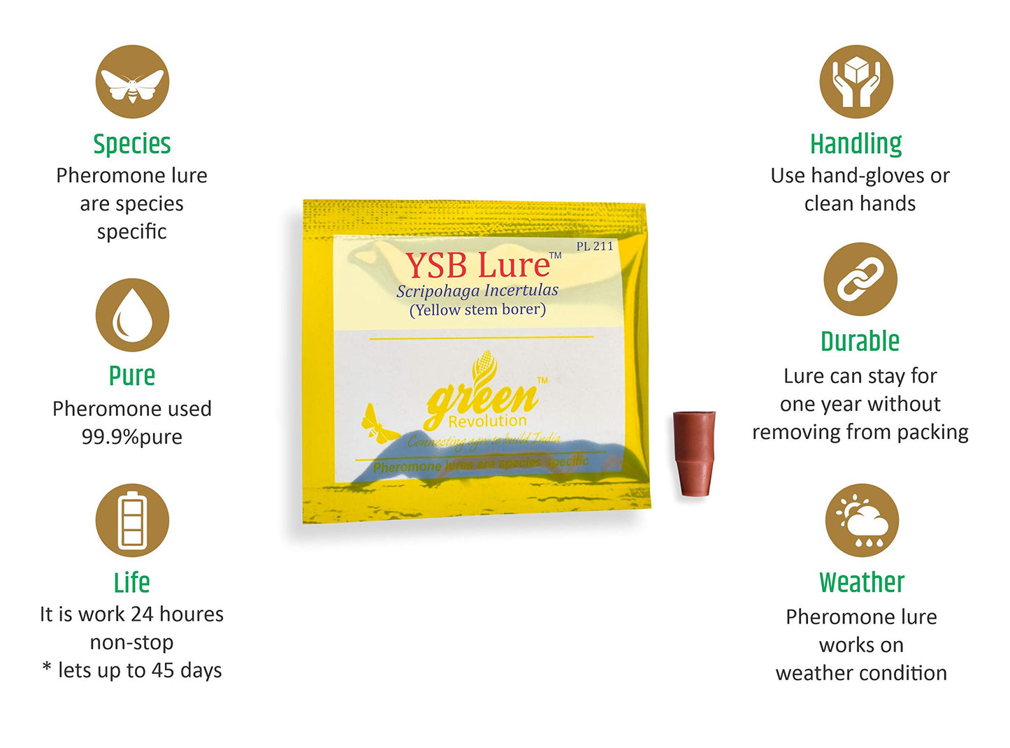YSB lure