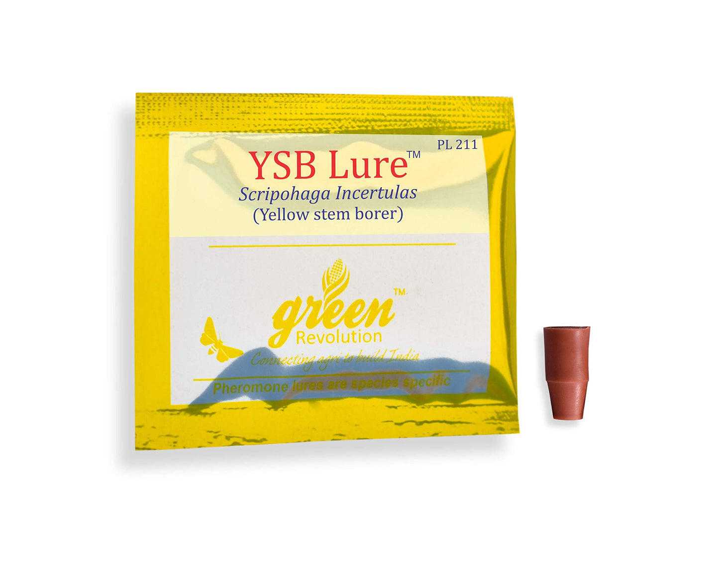 yellow stem borer trap