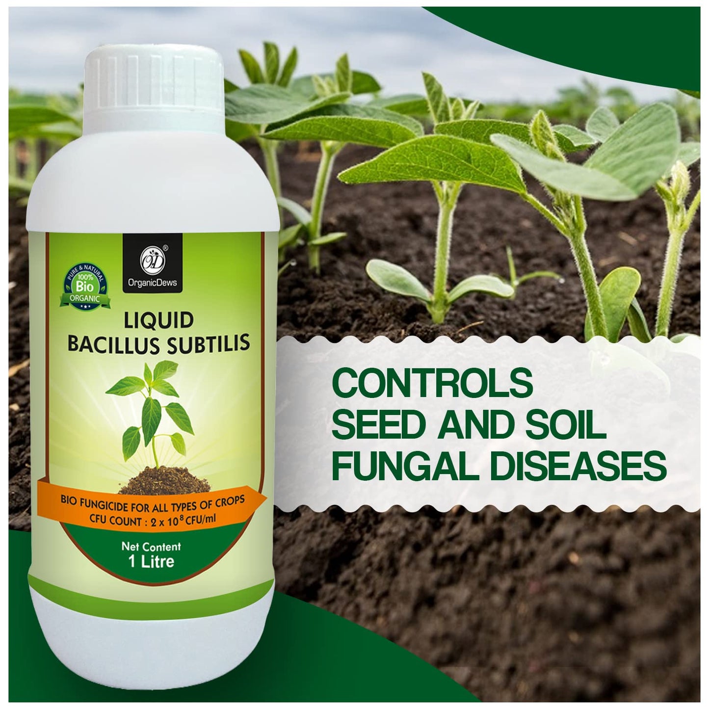 OrganicDews: Your Natural Shield Against Crop Diseases