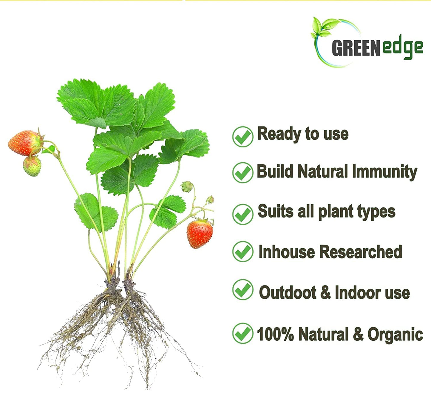 Greenedge ऑर्गेनिक लिक्विड सीवीड टॉनिक (5 लीटर) फूलने, फलने और मिट्टी के संपूर्ण पोषण के लिए कंसन्ट्रेट, 5 L